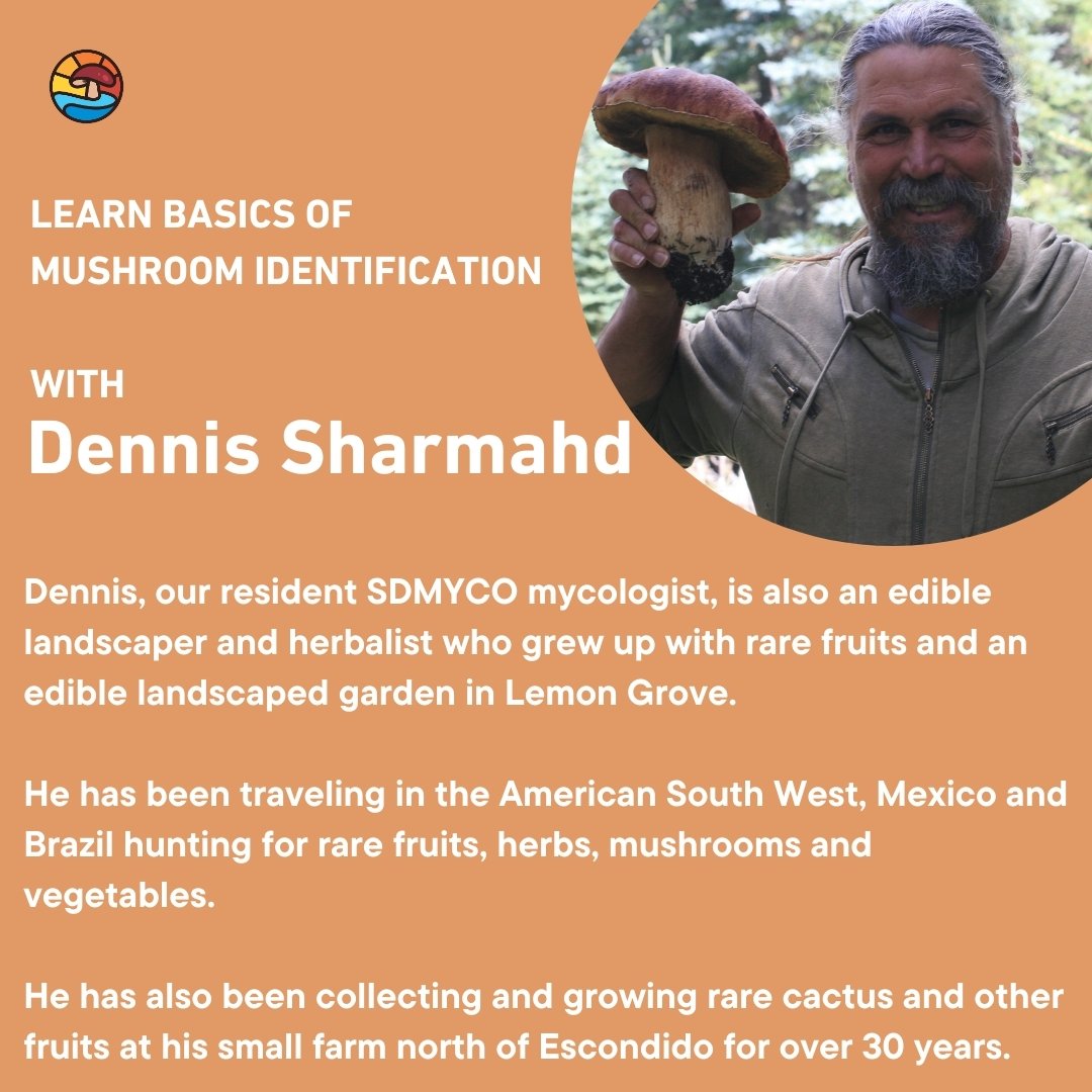 sdmyco's tweet photo. Our resident mycologist, Dennis Sharmahd, will help us to understand the common ways to identify fungi, which includes the relationships to plants and trees. Our goal is to have live specimens to help practice! https://t.co/9JYqIPnvk6