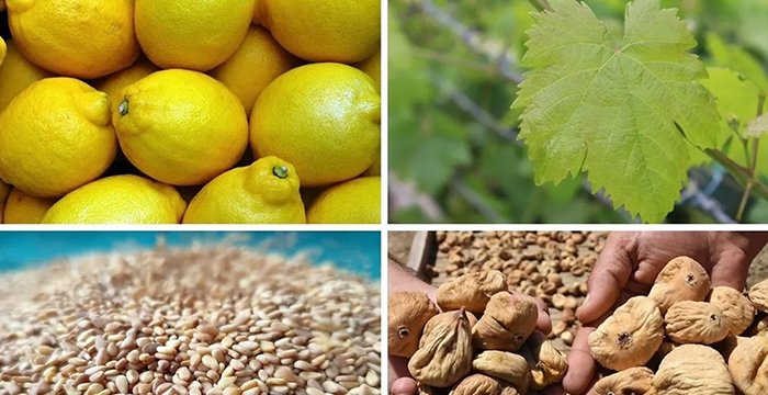 siirthaberim's tweet photo. 📍2025'in ilk 3 gününde 4 ürün gümrükten döndü..

AB Komisyonu Gıda ve Yem için Hızlı Alarm Sistemi yeni yılın ilk 3 gününde Türkiye'den giden 4 ürünle ilgili alarm verdi. Kuru incirde aflatoksin, üzüm yaprağı ve limonda pestisit, susamda ise salmonella çıktı. https://t.co/hfjMfOHCR5