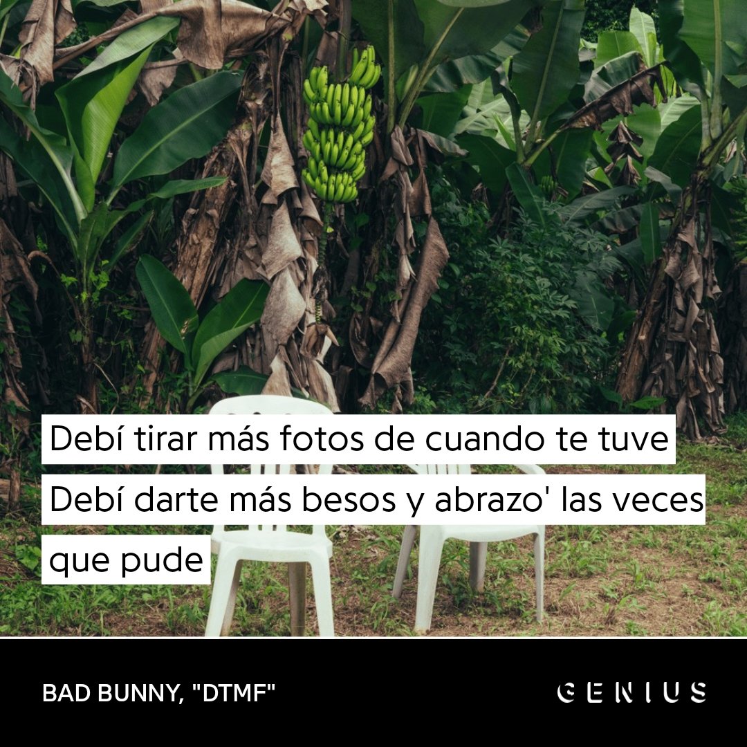 Bad Bunny nos mató con esto