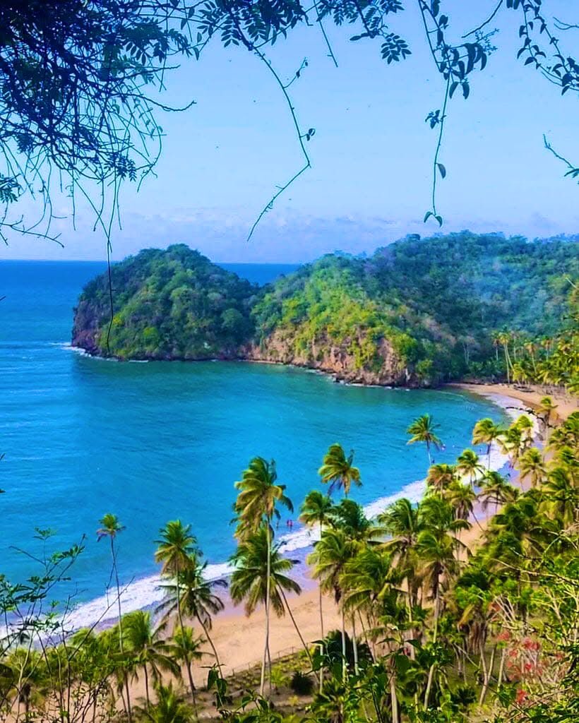 GianlucaCoccon1's tweet photo. Maravillosa 
Playa MEDINA cerca de Río Caribe Penínsulas de Paria…
Edo Sucre 🇻🇪🇻🇪🇻🇪👏🇻🇪🇻🇪🇻🇪🇻🇪🇻🇪🇻🇪🇻🇪🇻🇪🇻🇪🇻🇪🇻🇪
📸 @pjatimuziotti https://t.co/Bz8dMiuJKh
