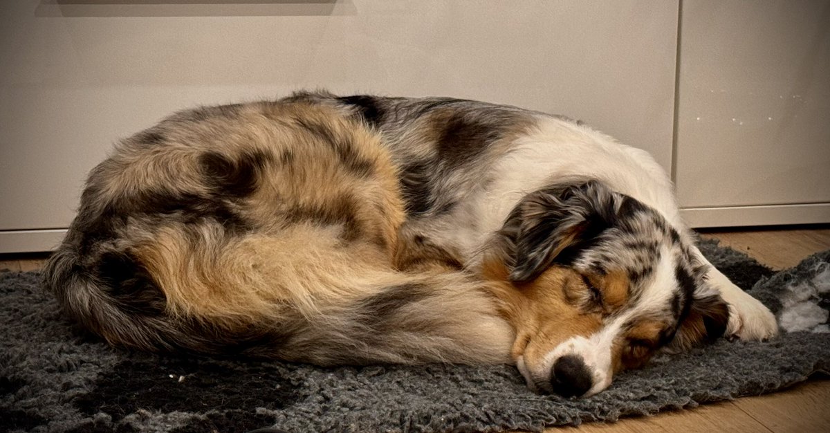 Uli und Pit🌈 tweet media