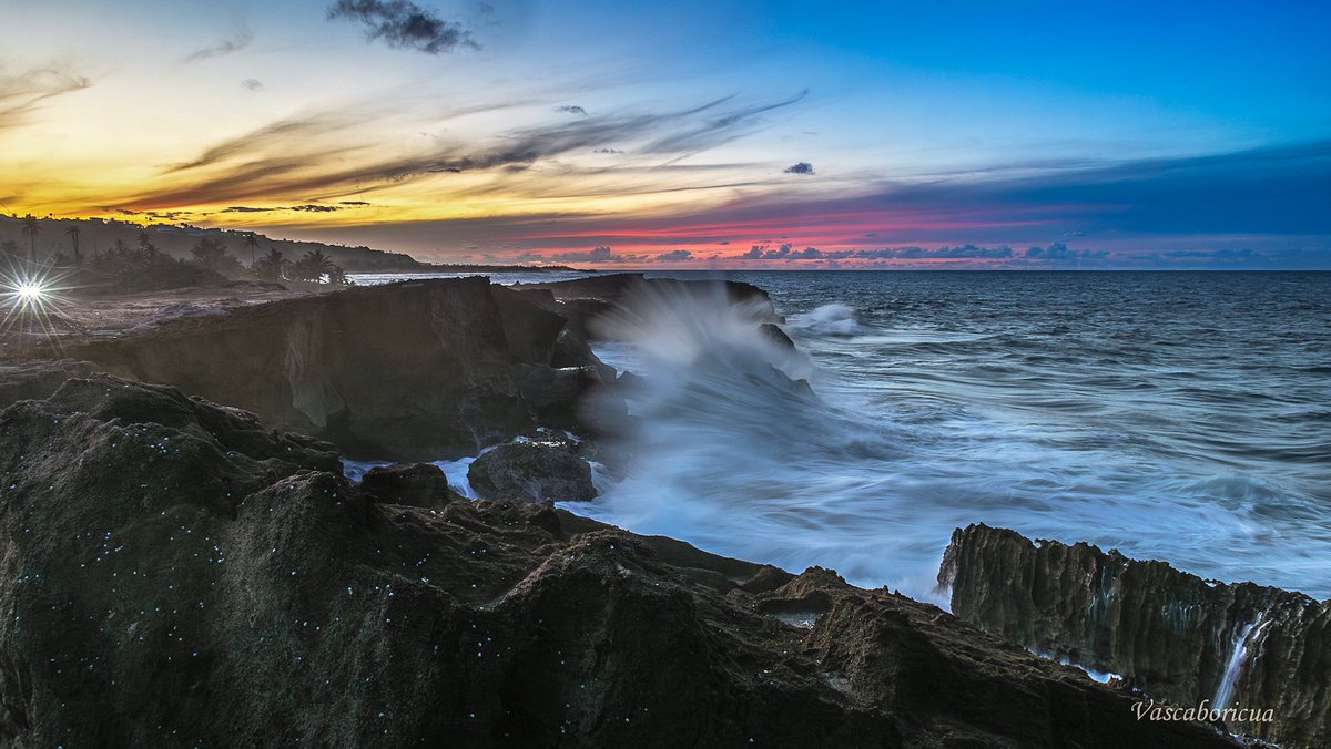 Les comparto mi primer atardecer en Isabela 🇵🇷, una foto que conllevó sus riesgos por la bravura del oleaje y que enfrenté con valentía gracias al guru de la fotografía paisajista de Puerto Rico, Kenny Enriquez, quien se aventuró conmigo!
Ese es el papá de los pollitos. 💯