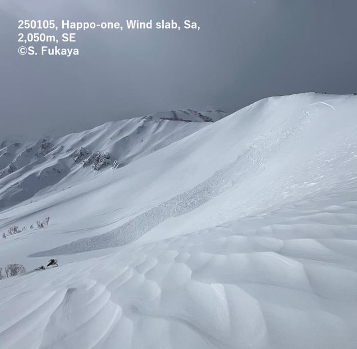 240105, 八方尾根, ウインドスラブ, 人的誘発, size 1, 2050 m付近, 南東。滑走者は流され、部分埋没で自力脱出。
　
#nadare2025