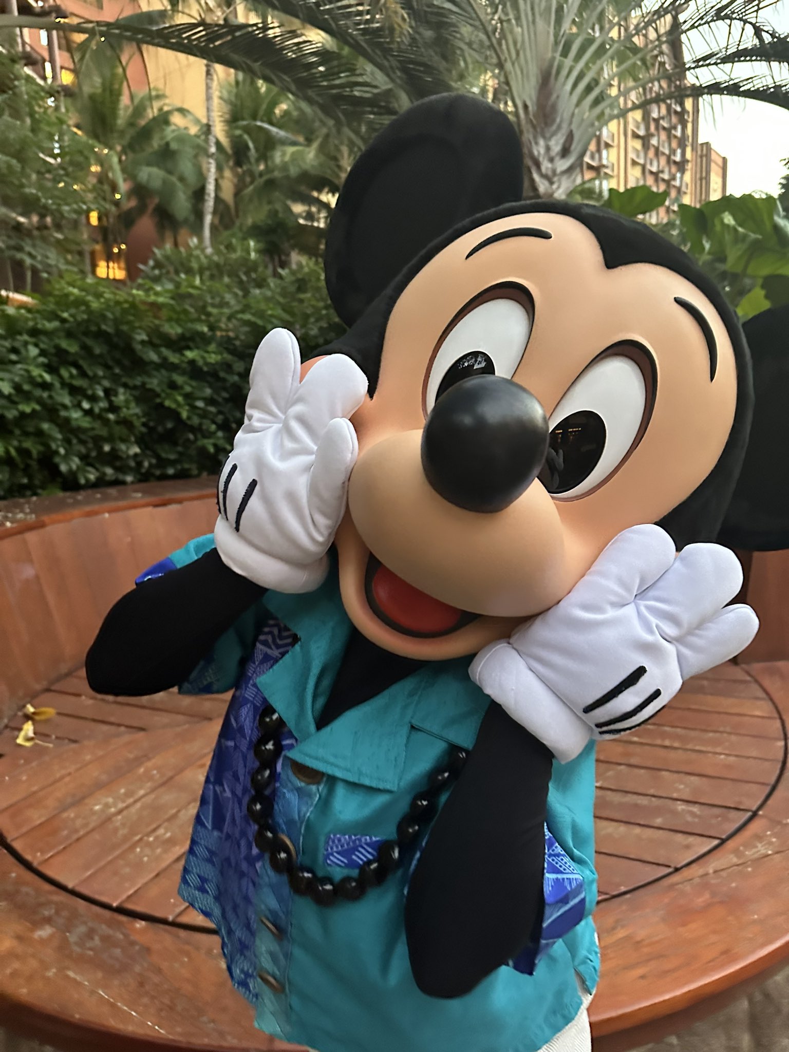 ディズニー　ブランケット　ハワイ　アウラニ アウラニディズニーで気づけば集めていたもの | 小笠原リサ