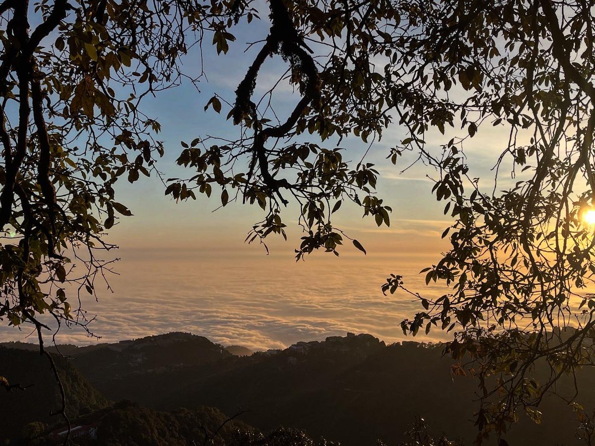 Aditya Manral tweet media