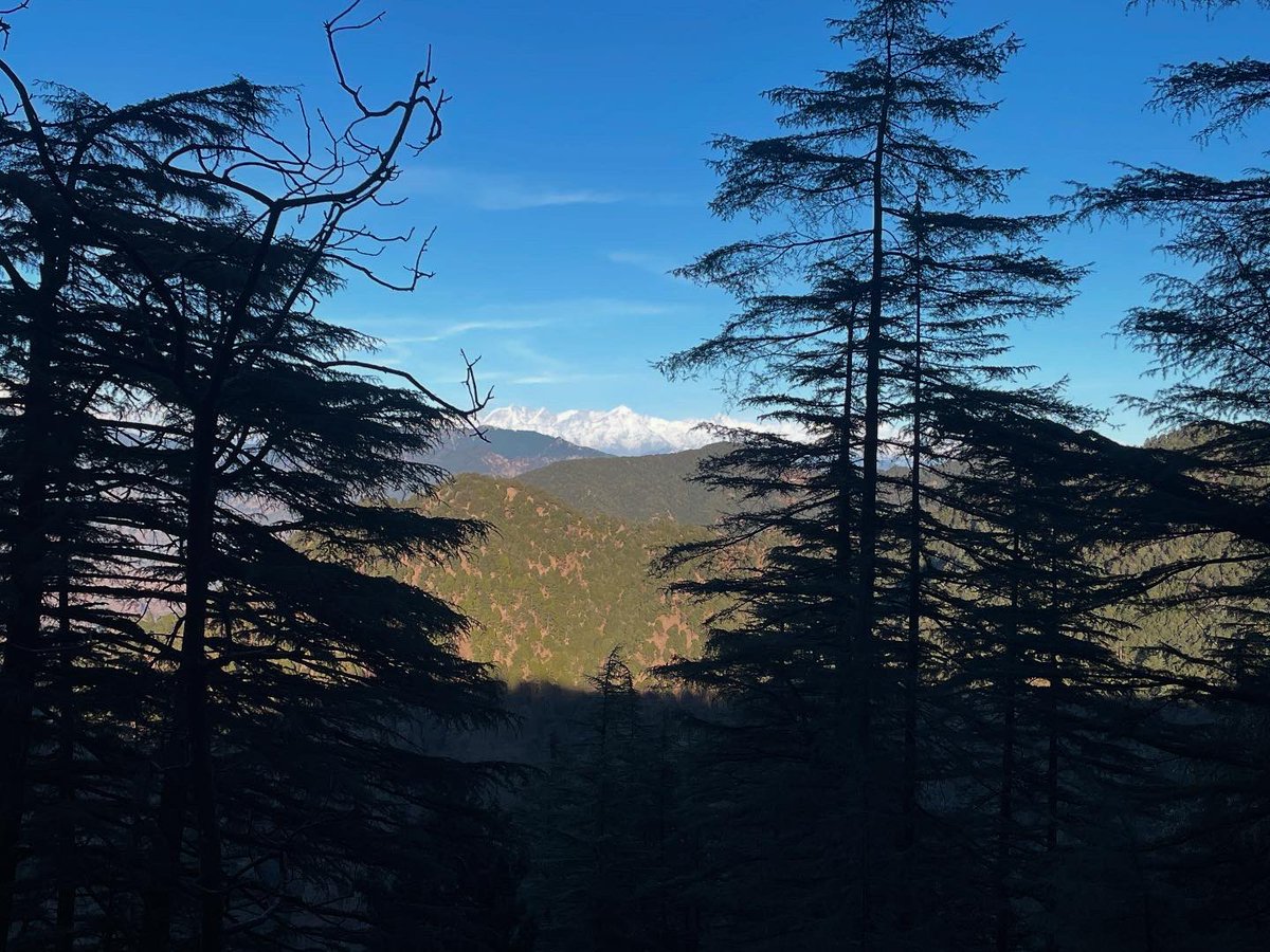 Aditya Manral tweet media