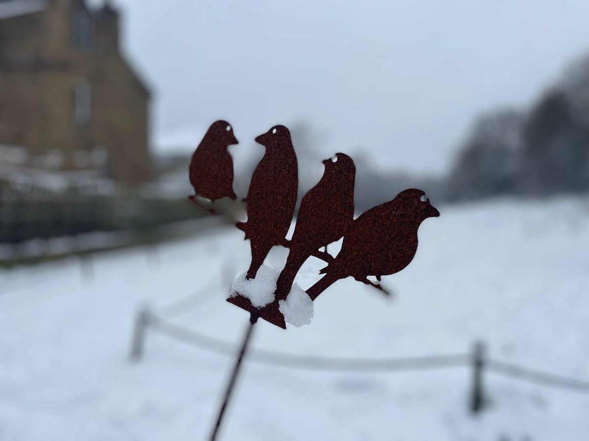 Obligatory Shipley snow pics!
Some great snowmen out there 👏🏽👏🏽👏🏽
