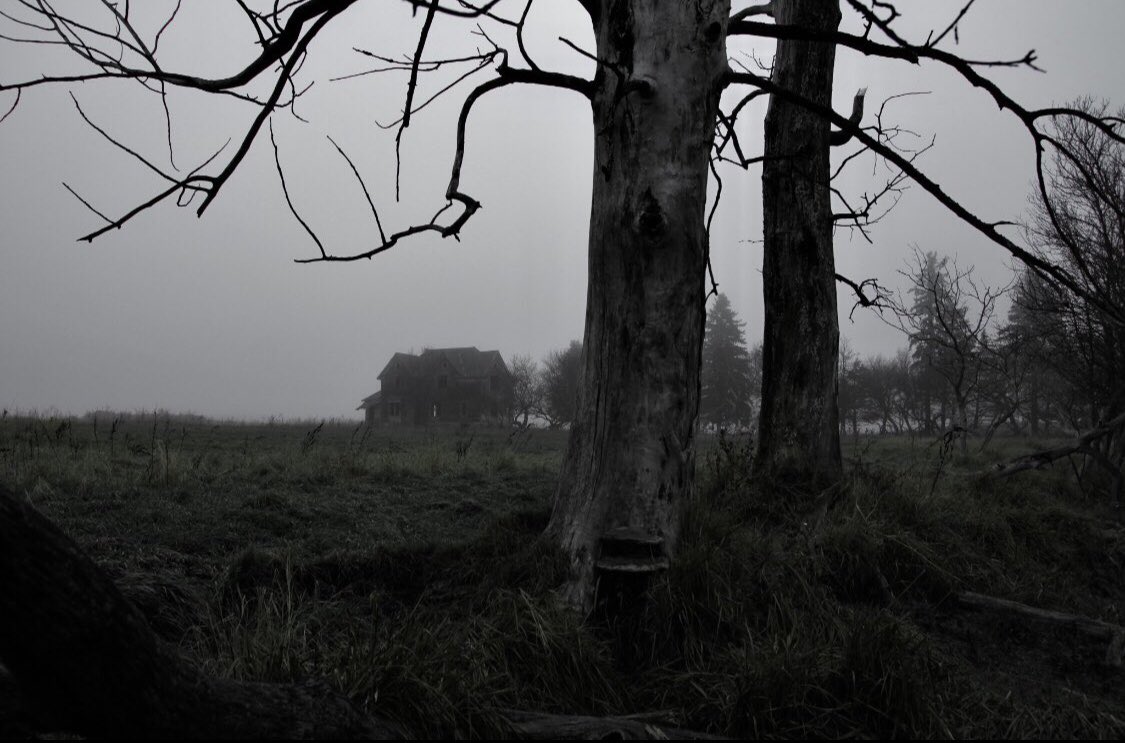 ََ (@invertedly) on Twitter photo 