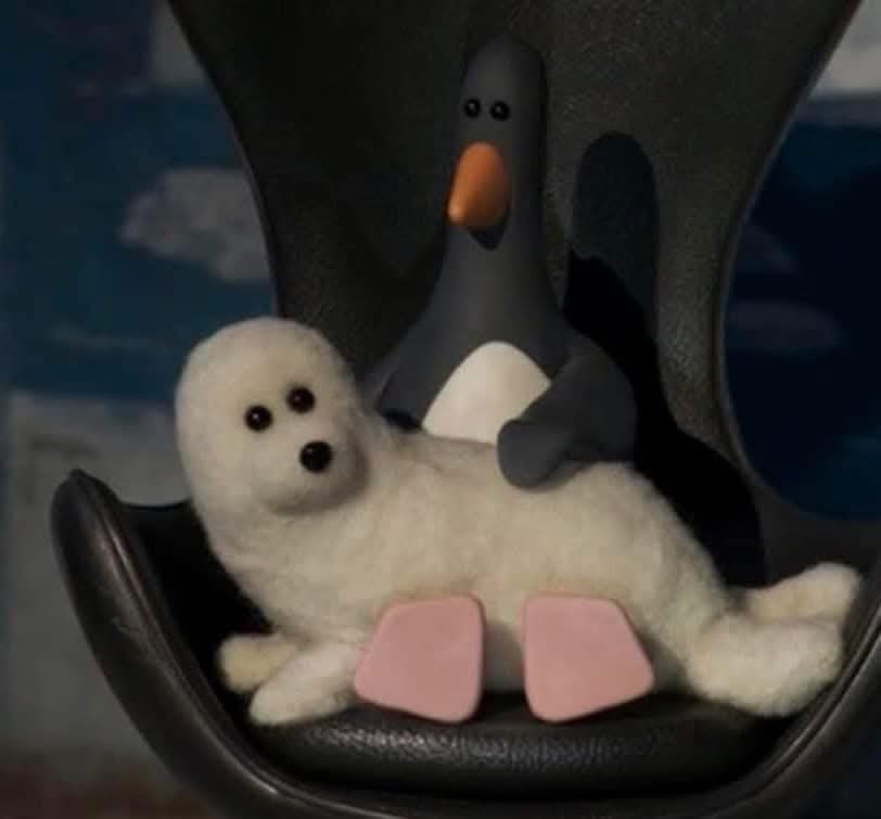 Siobhan Synnot tweet media