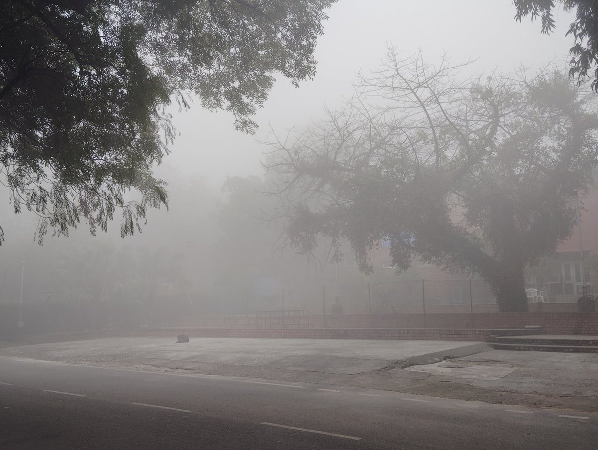siiddhaant's tweet photo. JNU Winters peaking 
#Delhi #winter #fog https://t.co/IsSO3UflmX