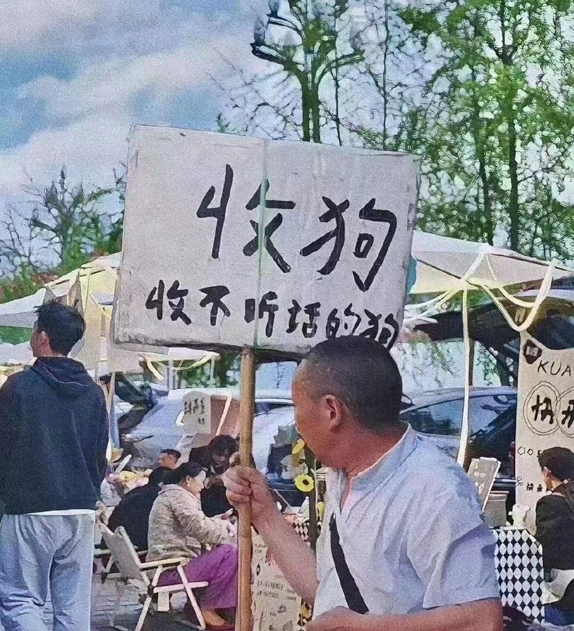 s853998910's tweet photo. 找父子狗，缺钱狗 https://t.co/RIpnf7DZO5