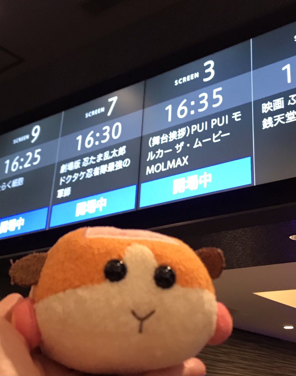 euca1_cutething's tweet photo. モルカー4周年、おめでとうございます!🎉✨✨
モルカー大好きになって4年!
いつもたくさんのぷいぷいをありがとう🥰
たくさんイベント行ってお出かけしたね!
これからもたくさんイベント行って楽しくぷいぷいしたい🥳
イベント、続編映画、そしてアニメ3期待ってます!🥰❤️
#4thPUIPUI #モルカー https://t.co/hKNMce50P3