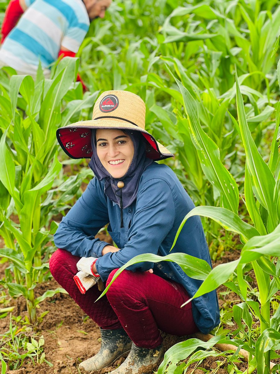Bom dia! 👩🏻‍🌾🌱🌽