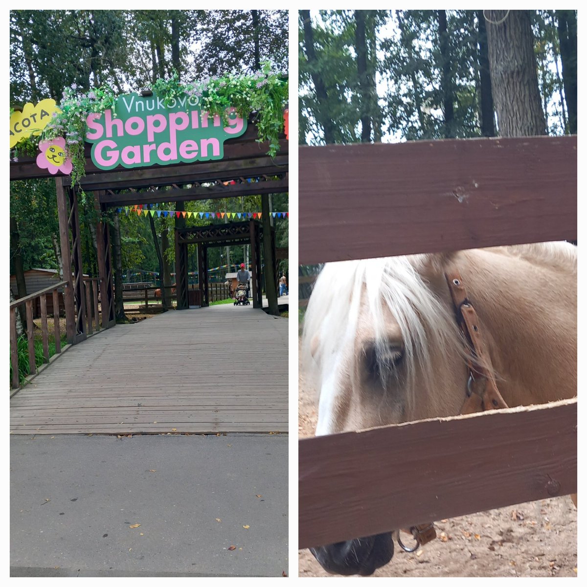 WORLD'S ANGEL ARCİTECT (@tulay10036954) on Twitter photo 