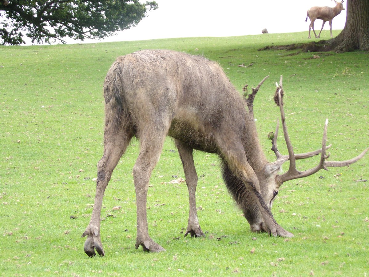 My photo #NaturePhotography #photo