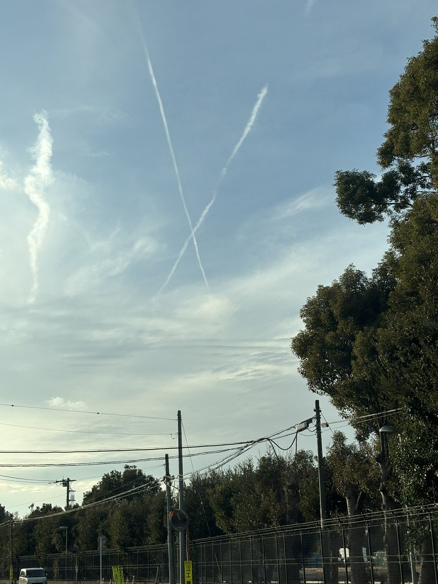 今日は親戚の家に皆んなでお出かけ。
偶然見つけて思わず撮ってしまった🤭