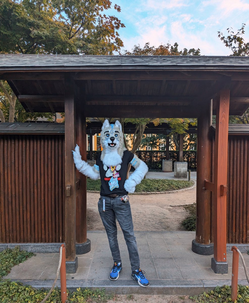 Lets go for a walk :3
📸@SamTheShep