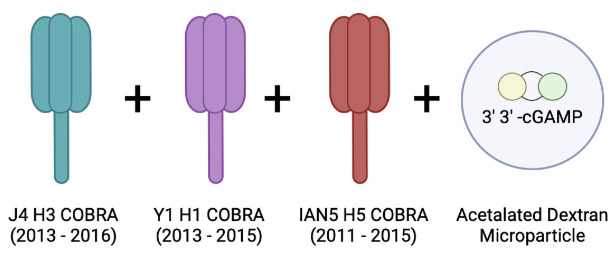 Kristy Ainslie (@ainslielab) on Twitter photo Some collaborative <a href="/niaidcivics/">NIAID CIVICs</a> work w/ cGAMP Ace-DEX MPs.
"Multi-COBRA hemagglutinin formulated w/ cGAMP MPs elicits protective immune responses against influenza viruses"
Open access: journals.asm.org/doi/10.1128/ms…
<a href="/DPMP_UNC/">Pharmacoengineering & Mol Pharmaceutics (DPMP UNC)</a> <a href="/UNCPharmacy/">UNC Pharmacy</a> @dyhendy98 Some collaborative <a href="/niaidcivics/">NIAID CIVICs</a> work w/ cGAMP Ace-DEX MPs.
"Multi-COBRA hemagglutinin formulated w/ cGAMP MPs elicits protective immune responses against influenza viruses"
Open access: journals.asm.org/doi/10.1128/ms…
<a href="/DPMP_UNC/">Pharmacoengineering & Mol Pharmaceutics (DPMP UNC)</a> <a href="/UNCPharmacy/">UNC Pharmacy</a> @dyhendy98