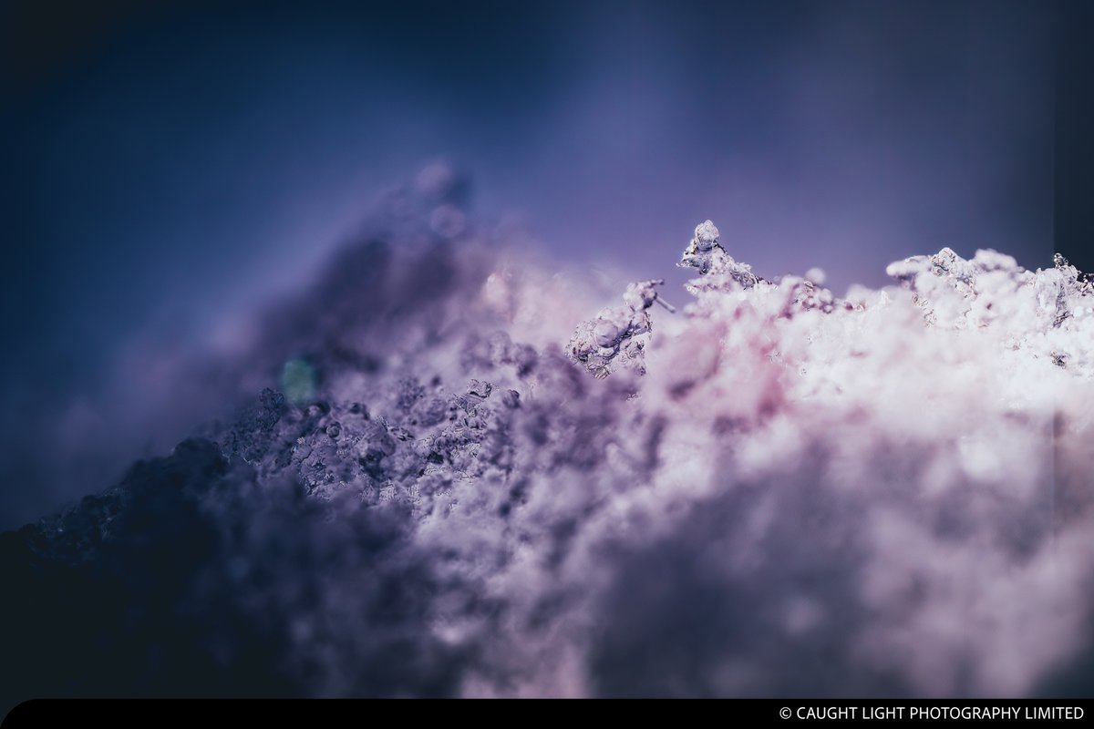 caughtlight's tweet image. The mouse and the ant

#Snow #ColdOutside #MessingAround #WantToBuildASnowman