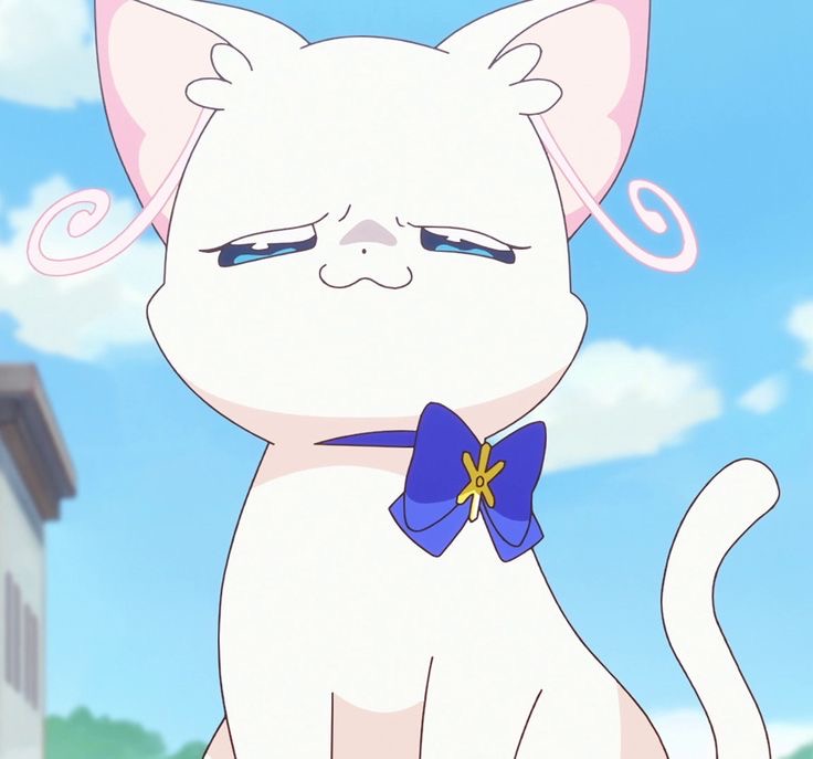 ユキちゃん可愛すぎめう