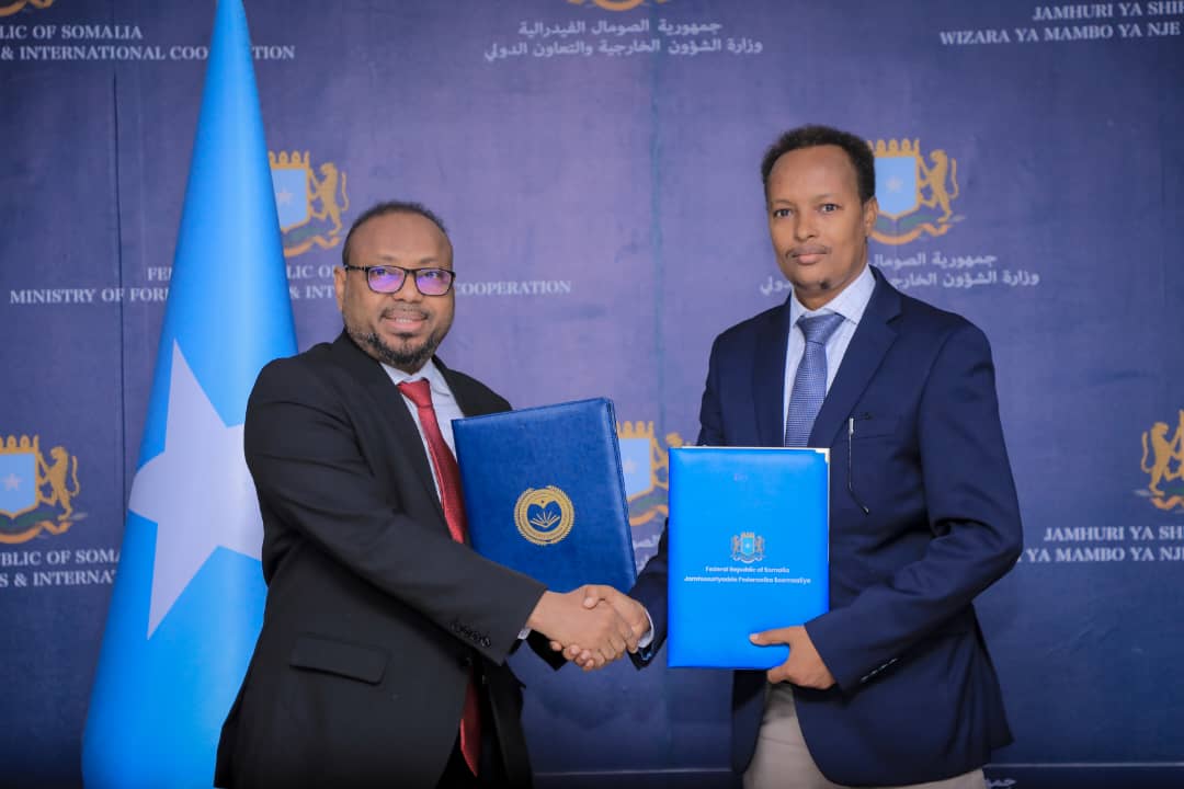 Mohamud (Harbi) M.Hassan tweet media