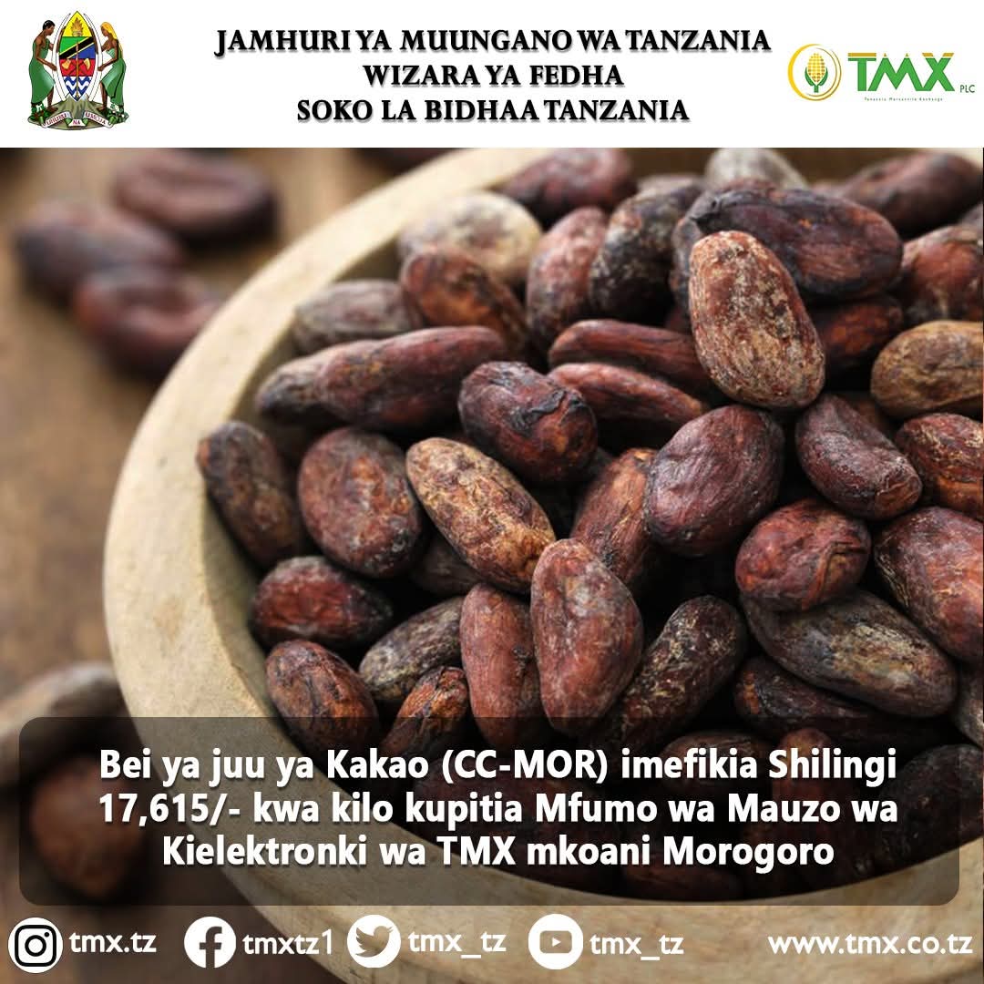 jason_kanani's tweet photo. Zao la kakao ni moja ya mazao ya Kimkakati, ni fursa ambao watanzania wengi hatujaichangamkia.

Wasiliana na Mkurugenzi wa SHAMBA INITIATIVE, @bwanampanzi  upate  miche bora na mwongozo sahihi wa kulima zap hilo kwa Tija

Kwa upande wa @mazaohub  utapimiwa afya udongo na pembejeo https://t.co/Wzugomqeyy