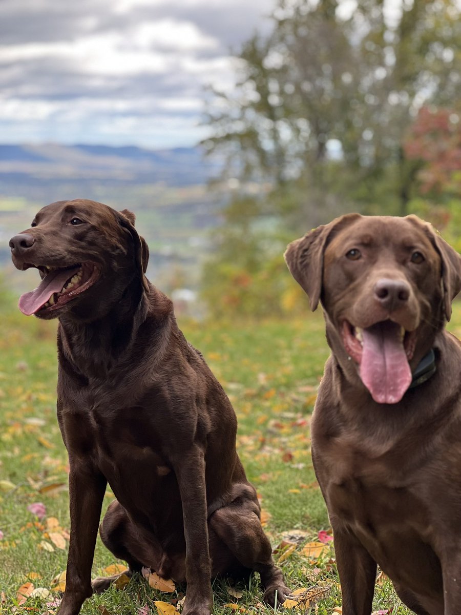 Yes 

It is me. GMGM ☀️