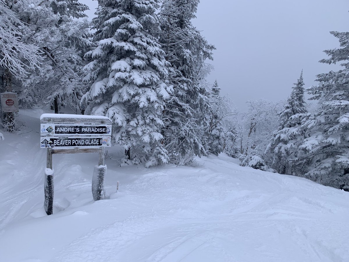 I’m told the Flyer just opened after a few days off. Tree time Tram side!! (Fueled by those signature chocolate m&amp;m cookies) <a href="/jaypeakresort/">Jay Peak Resort</a> <a href="/ski_vermont/">Ski Vermont</a> <a href="/SKITHEEAST/">SKI THE EAST</a>