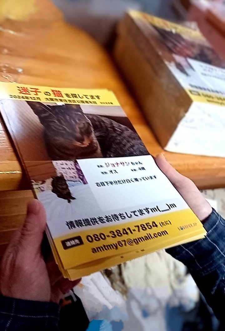 yuki0502dog's tweet photo. 【猫を探しています】
大阪の実家の猫がいなくなりました。

似ている猫を見かけた方、情報提供をお願い致します。

名前:ジョナサン
性別:オス
年齢:4歳
いなくなった日:2024/12/9
去勢済み、耳カットなし、首輪なし

#迷子猫 #迷い猫 #大阪市 #大阪 #東住吉区 #拡散希望 #サバトラ #キジトラ 大阪府 https://t.co/GHYJeYRHtj