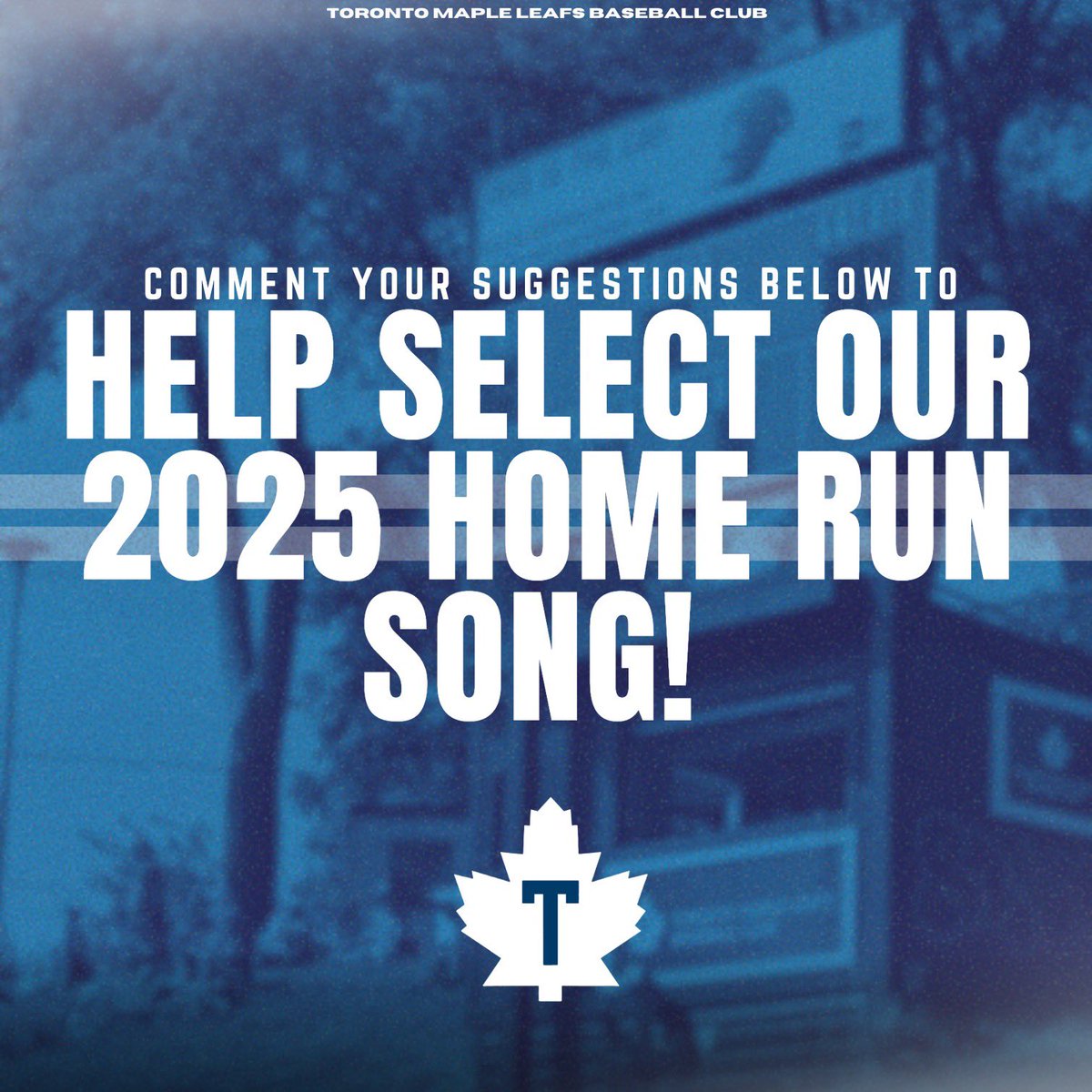 Toronto Maple Leafs tweet media