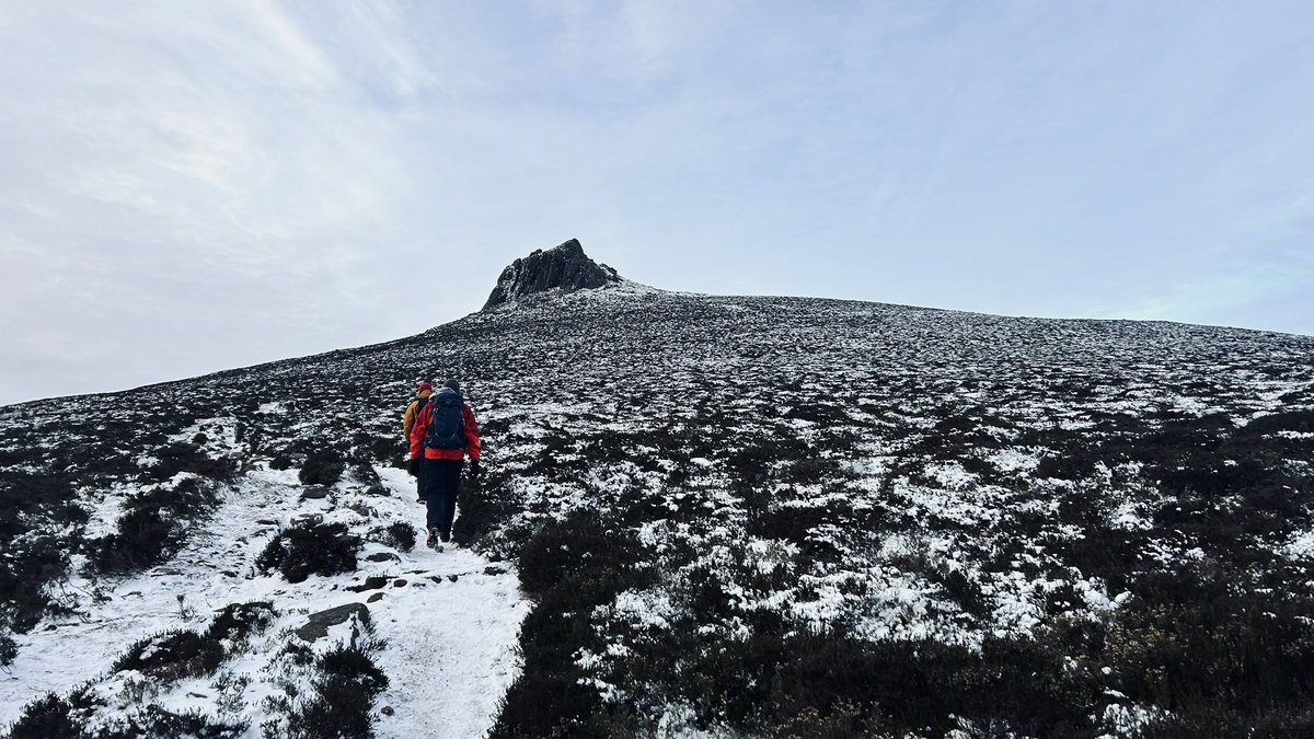 Rob Wicks tweet media