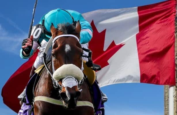 I celebrate the wonderful race mare Moira. Here are ten things to know about the Canadian star ... 
horseracingnation.com/blogs/zatt/Ten…