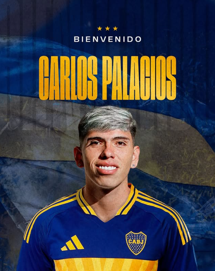 ¿Cuál andará mejor en 🇦🇷?