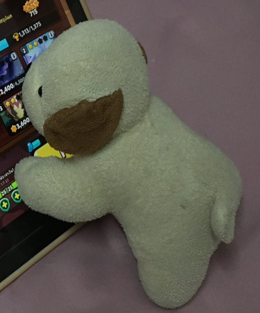 차 tweet media