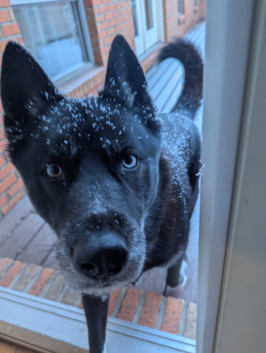 skream's tweet image. It's here!  Nicholasville @Kentuckyweather #kywx