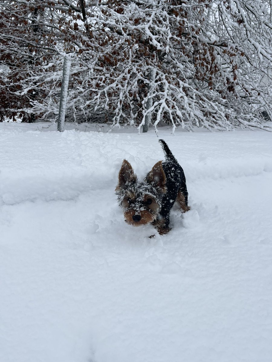 PamperYourself6's tweet photo. It’s just gorgeous outside 🥰 #sneachta https://t.co/ebPdYs145q