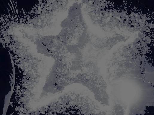 MULTlPORTALS's tweet image. ᅠ         ❛ this  universe  doesn't  have  a  (  *𝑴𝑬.  )  none  of  𝐓𝐇𝐄𝐌  do.

              #MARVELRP  /  #MVRP