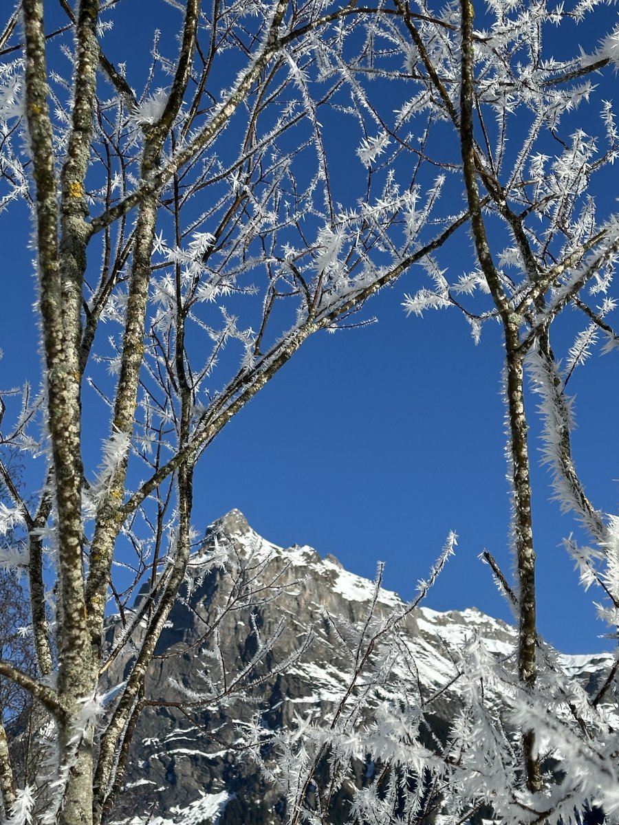 Jolly Christmas and New Year in <a href="/Kandersteg_ch/">Kandersteg | ch</a>    with 16 members of the extended Cotterill family , aged from 3 to 93. Now home to concentrate on preparing my Fellowship Presentation for the <a href="/GuildofBG/">IGBG</a> AGM in Newbury later this month.