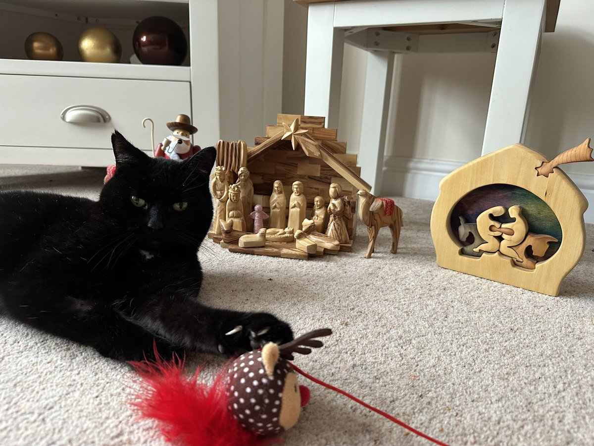 Mum says we’ve got to start putting the Christmas stuff away!🎄 We don’t want to say goodbye yet! 😢😿 I’d better help by doing a #Hedgewatch MANGER shift! Our Austrian Mountain Farmers Franzl and Ignaz can stay all year as we like the smell when they smoke their pipes!♨️🇦🇹