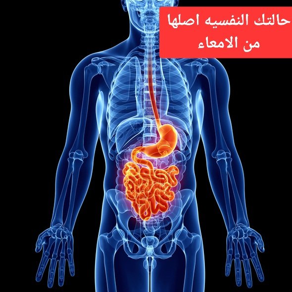 1
اكتئاب او رهاب اجتماعي او حتى ثنائي القطب او مشاكل الاكل الوسواس القهري.

كل ما ذكرت وغيرها من الأمراض النفسيه في أغلبها يكون سببها الأساسي من الامعاء.

والتخلص منها يكون بعلاج القولون وليس في التركيز على النتيجه.

فالتخلص من أصل المشكله هو الحل 
✔️تابع لتعرف اكثر عن هذا الأمر.