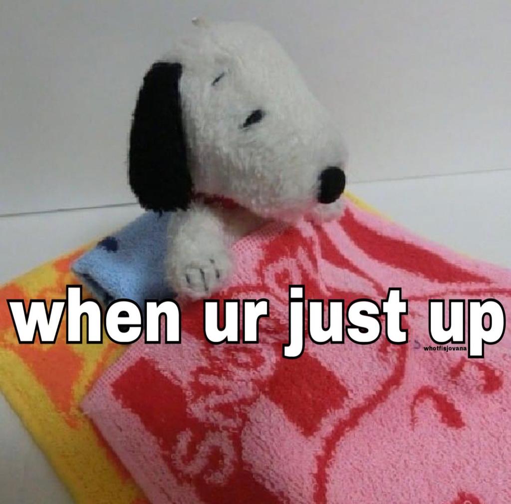 snoopy yuri