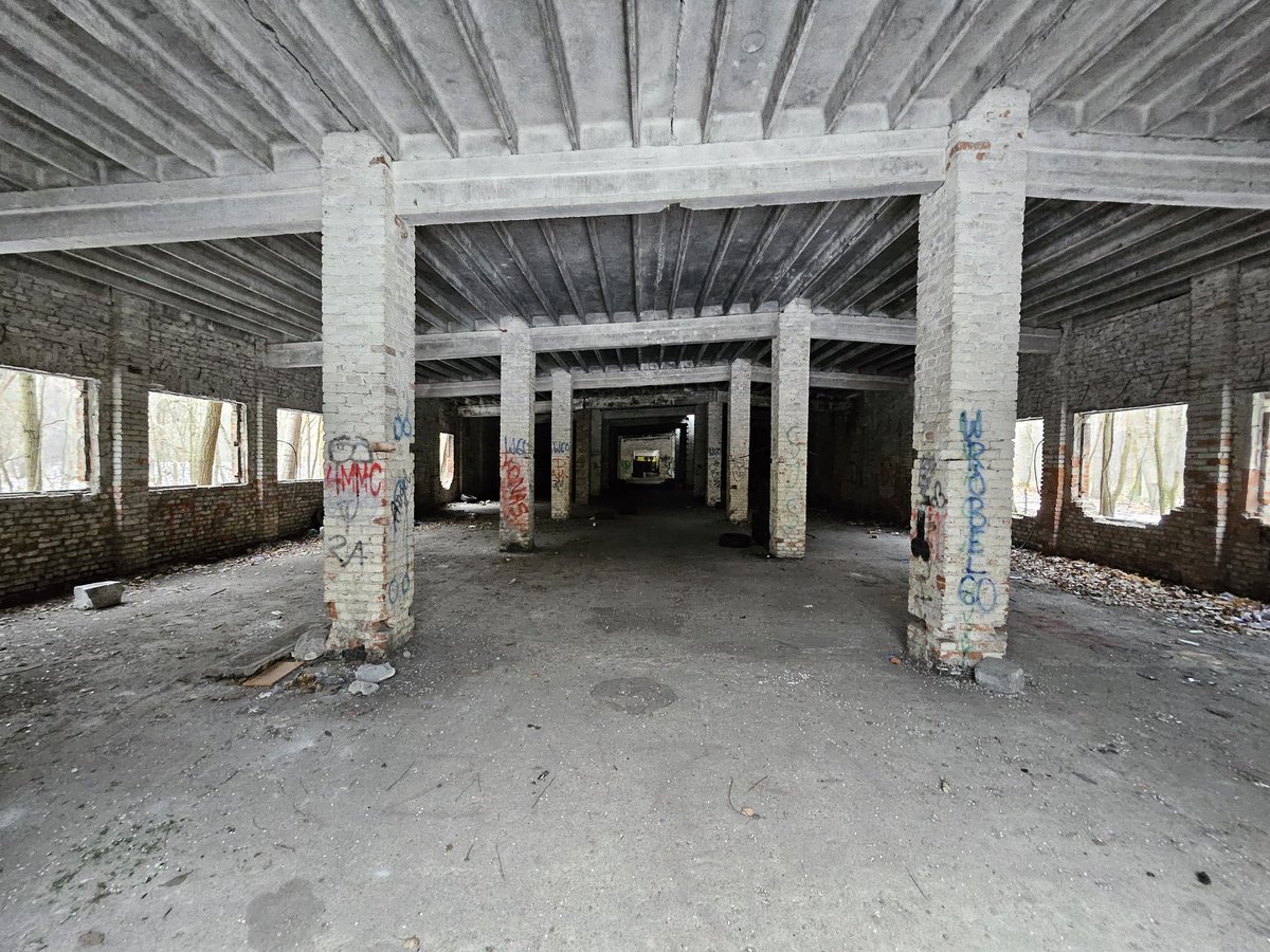 razpol's tweet image. Spacerek w lesie.. 🏗🛩