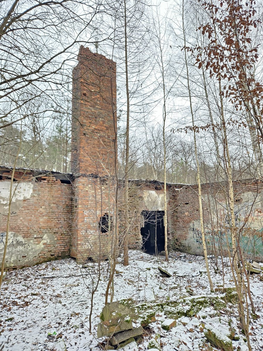 razpol's tweet image. Spacerek w lesie.. 🏗🛩