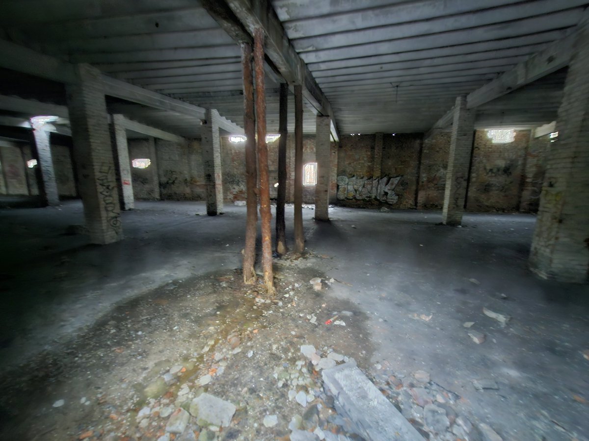 razpol's tweet image. Spacerek w lesie.. 🏗🛩