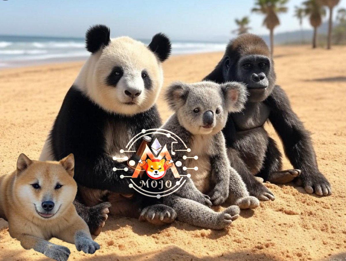 This is the Mojo crew on a well-deserved holiday in the sun. A Shiba can dream of better days, right? <a href="/TheMOJOToken/">♡MOJO♡</a> <a href="/Pease127/">Abbfreedom ❤Mojo 💞shib</a> <a href="/TheoneChappi/">Chappi</a>