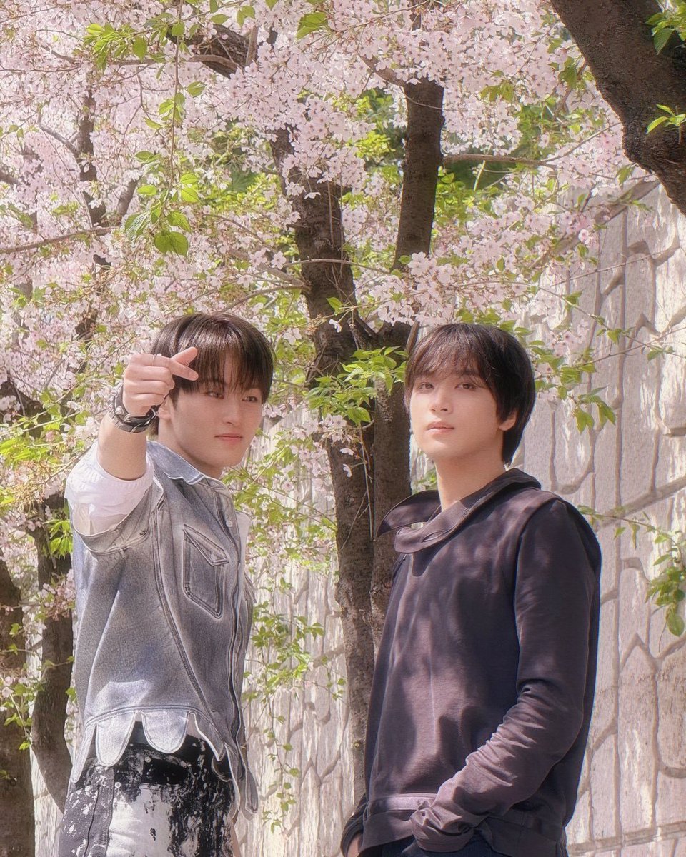 ゚⁸²⁶⁶ ⋆꣑ৎ˚◟꒱·˚ tweet media