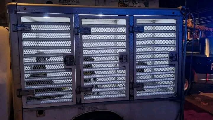 Gobierno de Tlaquepaque tweet media