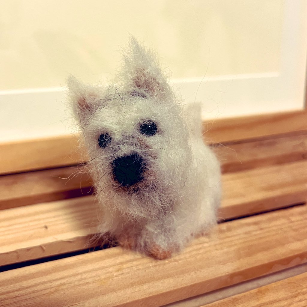 KasuteraDeRun's tweet photo. 100円ショップの羊毛フェルトでケアーンテリアの作成にトライ　モデルはリアン🐶
初めてにしてはまあまあでしょうか😊
#羊毛フェルト #ケアーンテリア #cairnterrier https://t.co/p4ylER25VG
