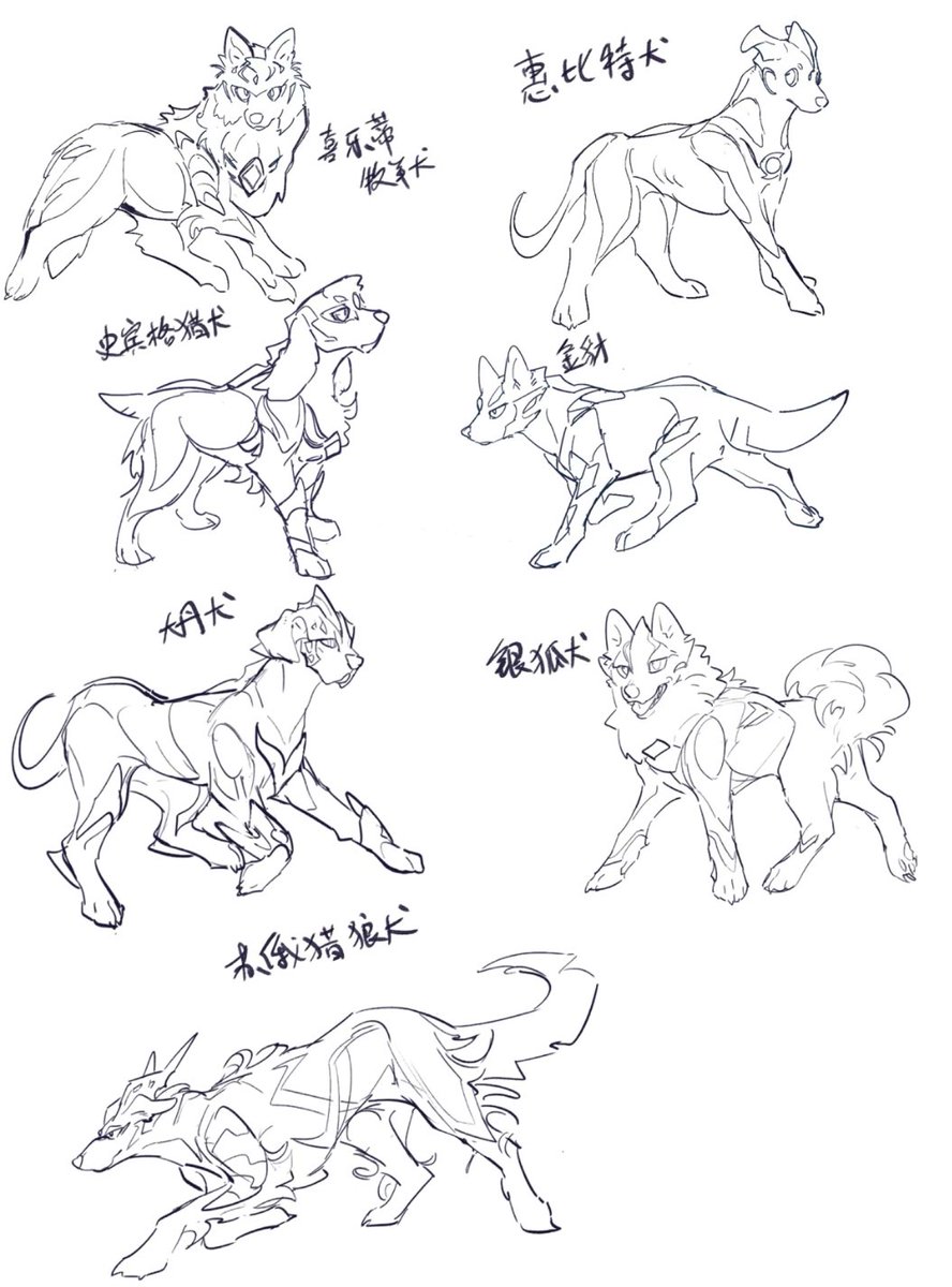 虽然我觉得动物塑也是不得不品的一环【胡乱】