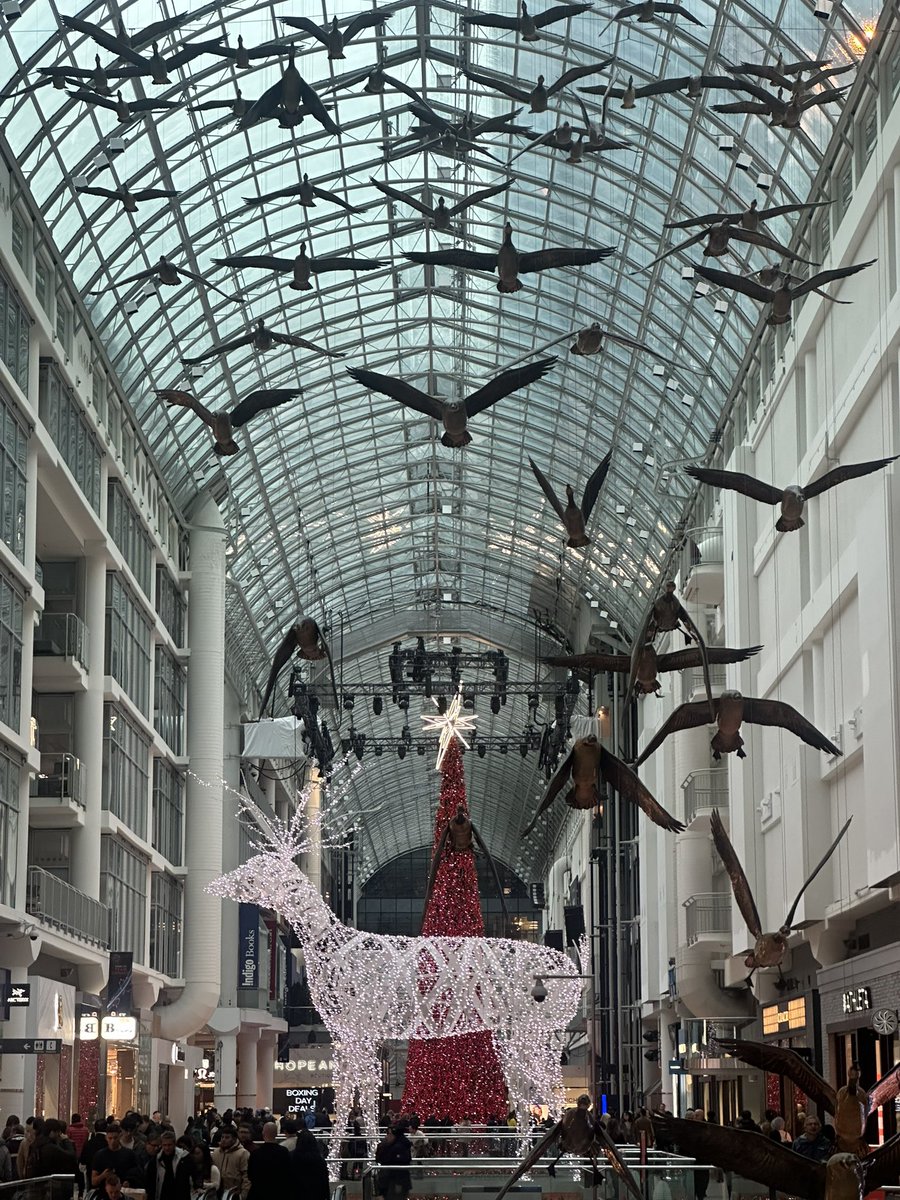 SMGKPistol's tweet image. Motion Mafioso 🏴‍☠️ #LocalCeleb 1/22